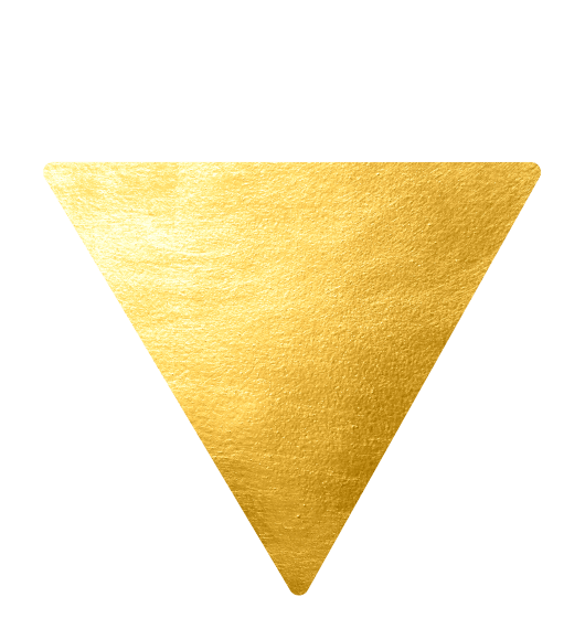 https://www.leroyssnohut.com/wp-content/uploads/2017/08/triangle_gold.png
